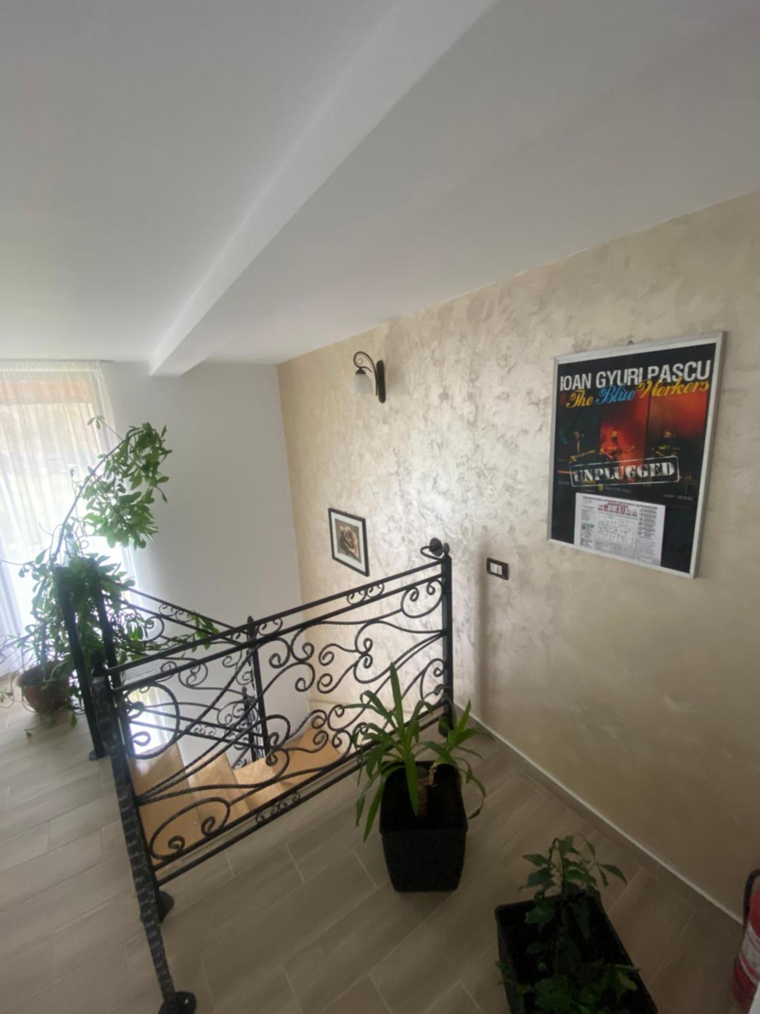 Pensiunea Casa Pancu Ceahlău Zewnętrze zdjęcie