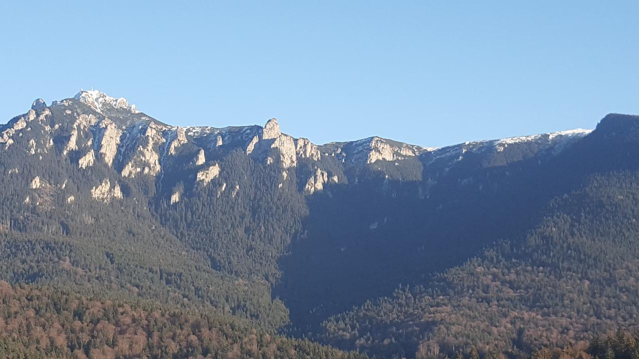 Pensiunea Casa Pancu Ceahlău Zewnętrze zdjęcie