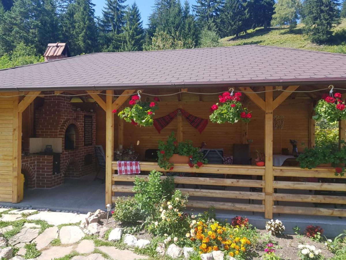 Pensiunea Casa Pancu Ceahlău Zewnętrze zdjęcie