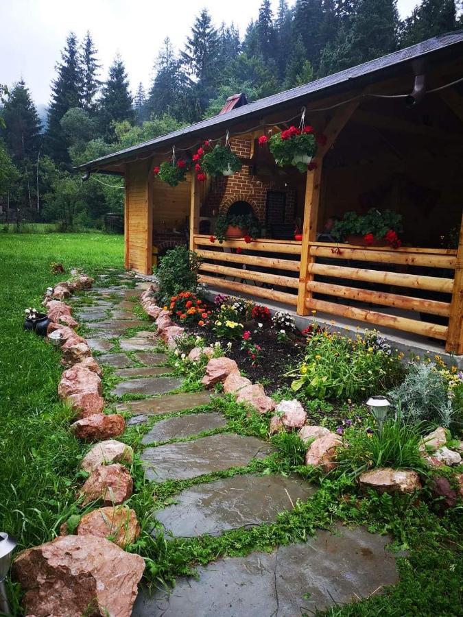 Pensiunea Casa Pancu Ceahlău Zewnętrze zdjęcie